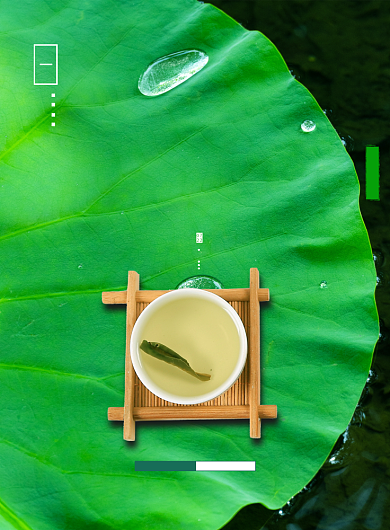 清新大暑节气三伏天喝伏茶荷叶海报背景