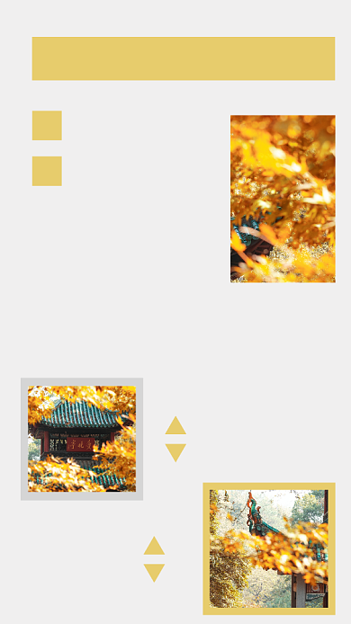 文艺秋天美景枫叶旅游配图背景