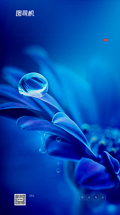 白露节气房产宣传手机海报背景