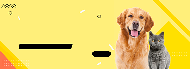 冬日宠爱双十二宠物用品海报背景