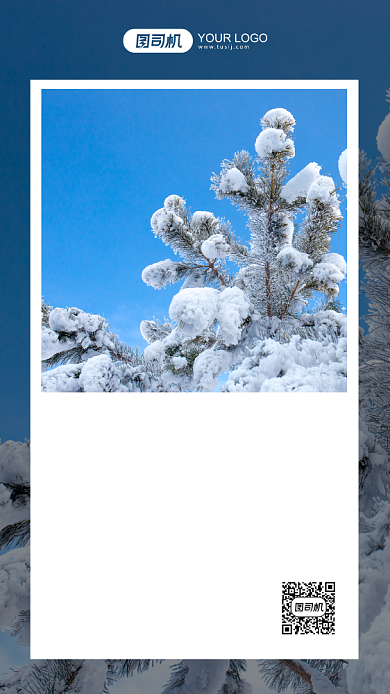 二十四节气大雪摄影图手机海报背景