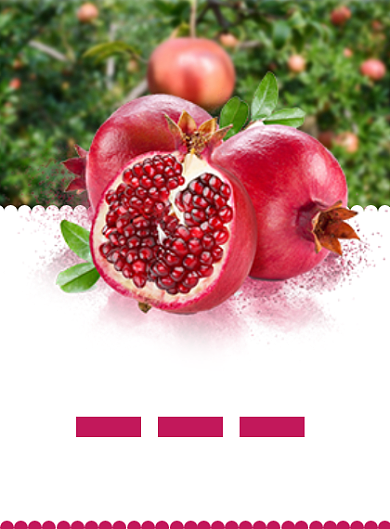 新鲜石榴清新简约海报背景