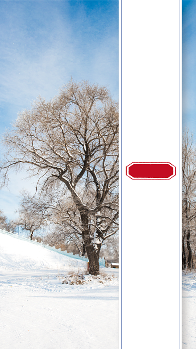 大雪二十四节气简约手机海报背景