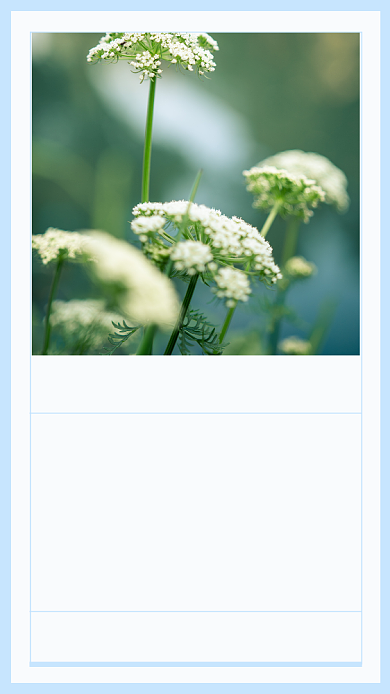 蓝色文艺清新十二月文章配图背景