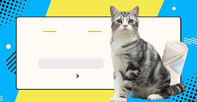 宠物洗护狗粮猫粮淘宝电商横版海报模板背景