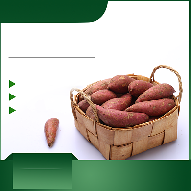 食品红薯马铃薯地瓜主图背景