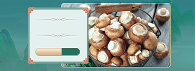 清新香菇蘑菇野生蔬菜海报背景