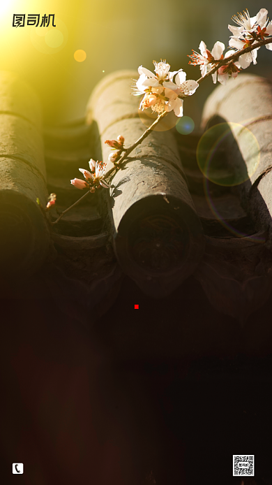 房地产宣传手机海报背景