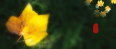 立秋时节公众号首图背景