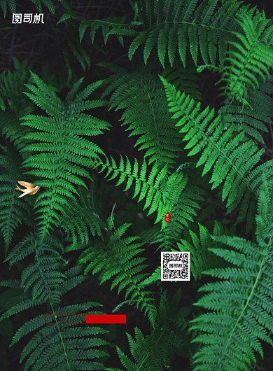 传统二十四节气大暑节气海报背景