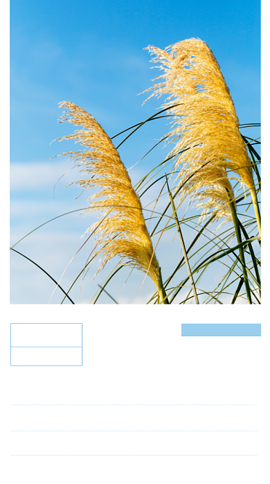 日签心情日记手机海报背景