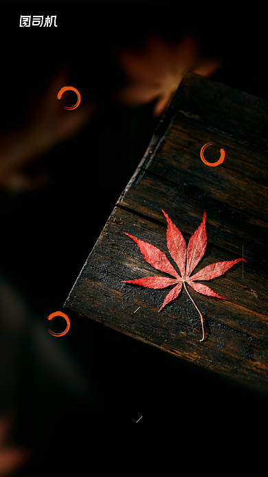 十一月你好简约日签宣传手机海报背景