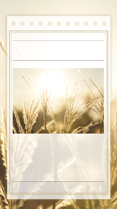 芦苇摄影早安日签清新简约手机海报背景