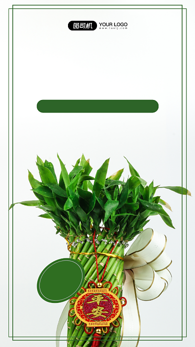 富贵竹植物写实手机海报背景