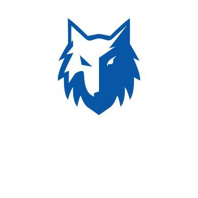 狼商务科技标志LOGO背景