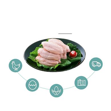 鸡翅中鸡肉肉类主图直通车详情介绍背景