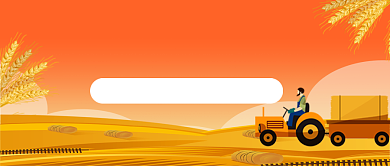 中国农民丰收节插画风公众号首图背景