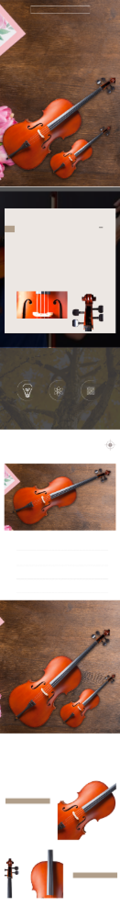 小提琴详情页电商时尚简约大气棕色乌木背景