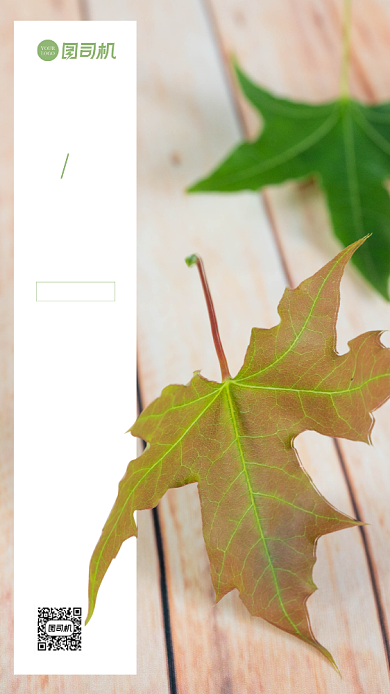 秋天你好日签海报背景