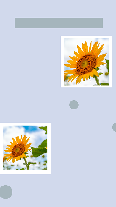 美好午后文艺清新向日葵配图背景