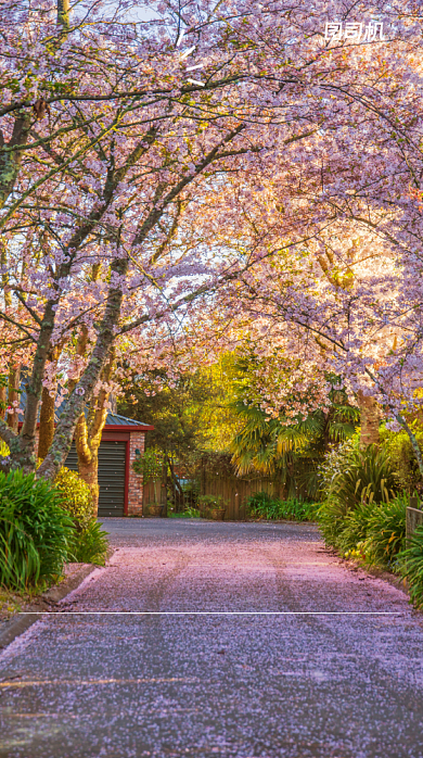 文艺简约早安你好日签手机海报背景