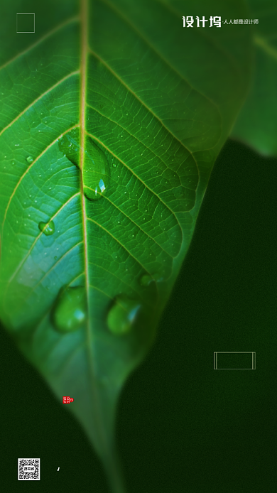 房地产传统节气白露手机海报背景