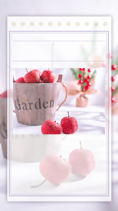 山楂圣诞树摄影日签清新简约手机海报背景