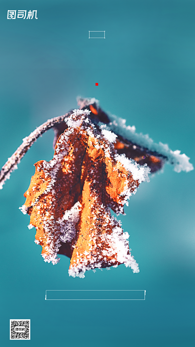 小雪节气摄影图蓝色简约清新手机海报背景