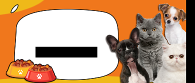 黄色宠物卡通热门封面图背景