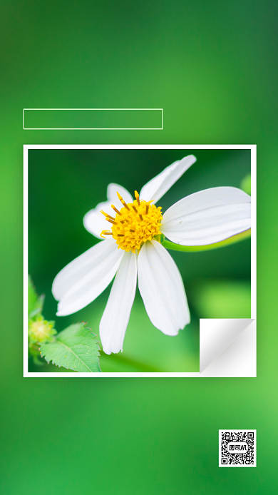 早安问候日签清新实景手机海报背景