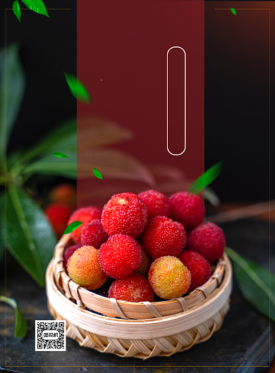 杨梅上市印刷海报背景