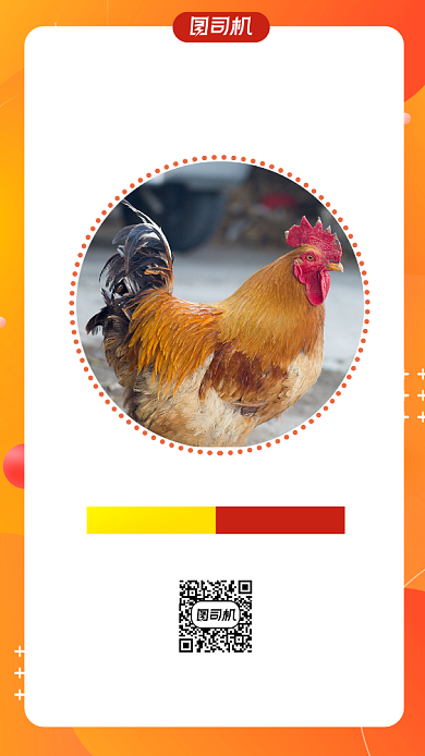 大公鸡促销简约风手机海报背景