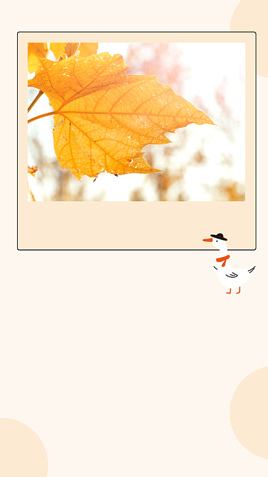 简约初秋旅游文章配图背景