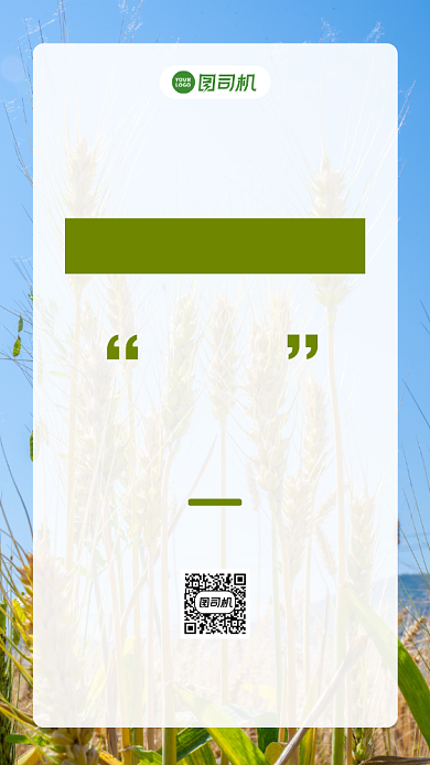 节约粮食简约手机宣传海报背景