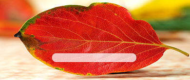 简约创意九月你好公众号首图背景