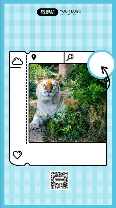 濒临动物简约少儿科普系列手机海报背景