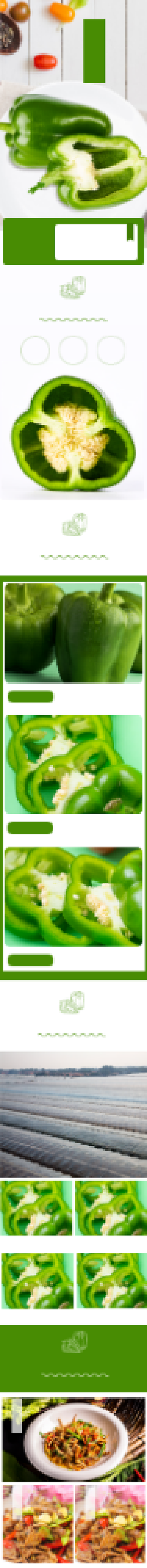 东北青尖椒蔬菜瓜果详情页背景