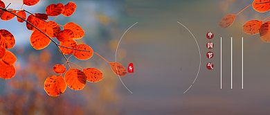 立秋节气枫叶秋季实景公众号首图背景