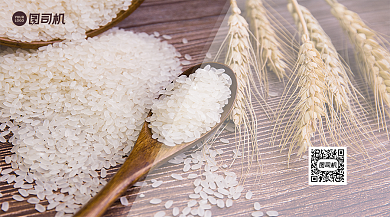 世界粮食日宣传简约手机横版海报背景