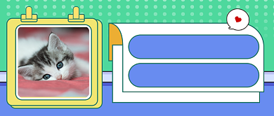 宠物小知识科普公众号首图背景