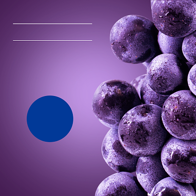 水果葡萄主图直通车背景