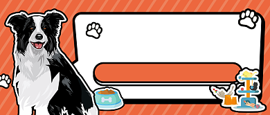 狗粮促销分享公众号首图背景