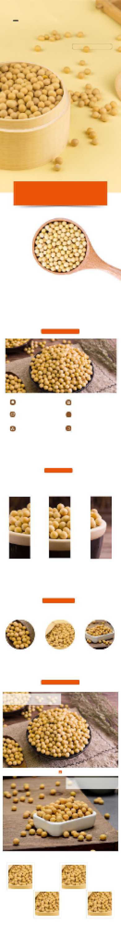 黄豆豆子农产品粮食详情页背景