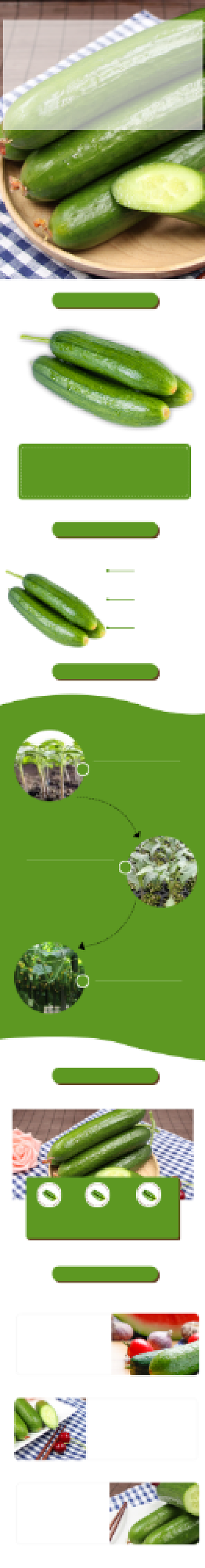 黄瓜详情页电商时尚简约大气蔬菜浅绿色背景