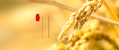 秋分节气简约公众号首图背景