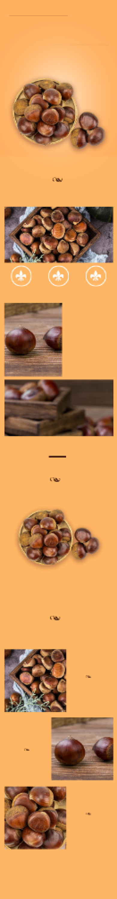 板栗栗子详情页电商时尚简约香甜黄色营养背景