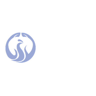 凤凰购物电商标志LOGO背景