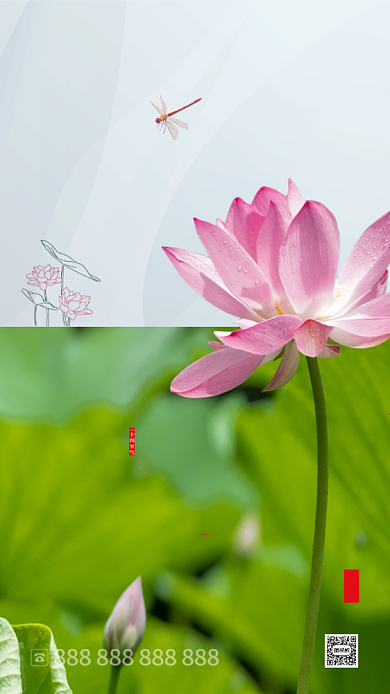 简约大气大暑节气手机海报背景