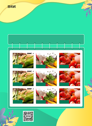 菜市场绿色每日特价宣传印刷海报背景