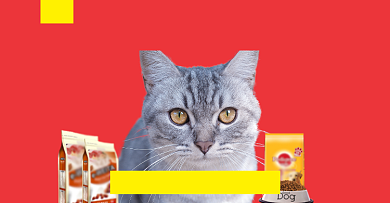 宠物狗粮猫粮促销满减海报潮流背景